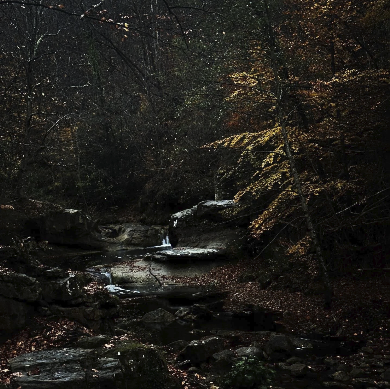 Paysage forestier du Pays Cathare sur la Via Magdalena, roches et petits bassins sous la lumière d’automne, symbole de silence, de purification et de marche intérieure — Je marche donc je suis