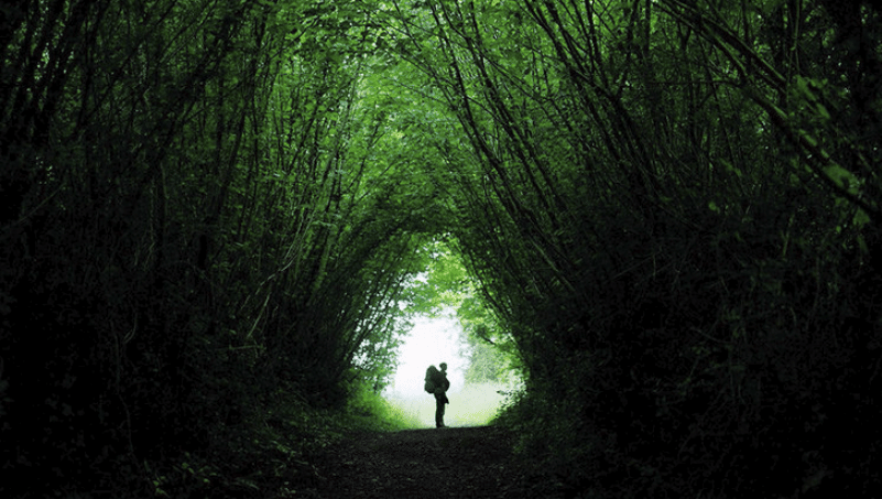Traversée vers Roncevaux