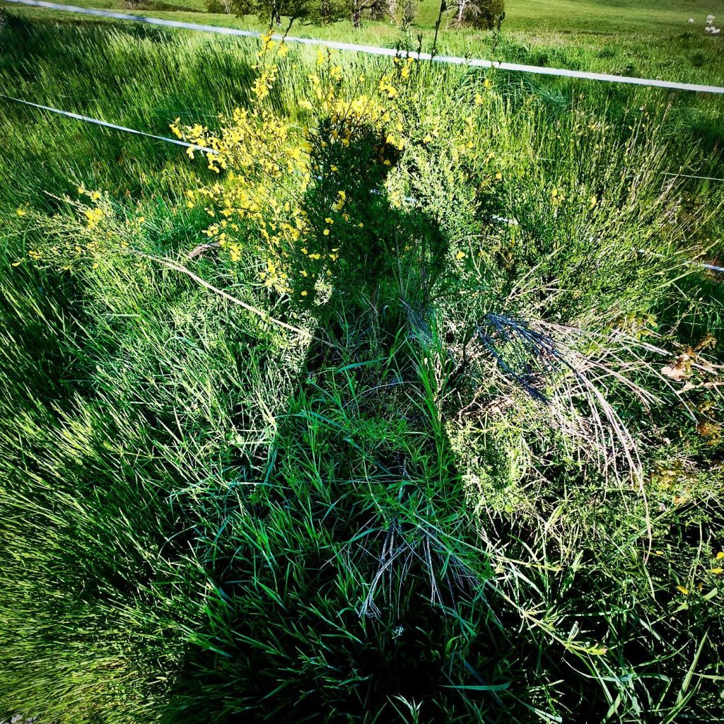 Photographie de Céline Anaya Gautier