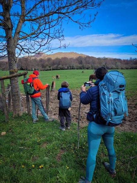 Jour 6 · Orisson → Roncevaux