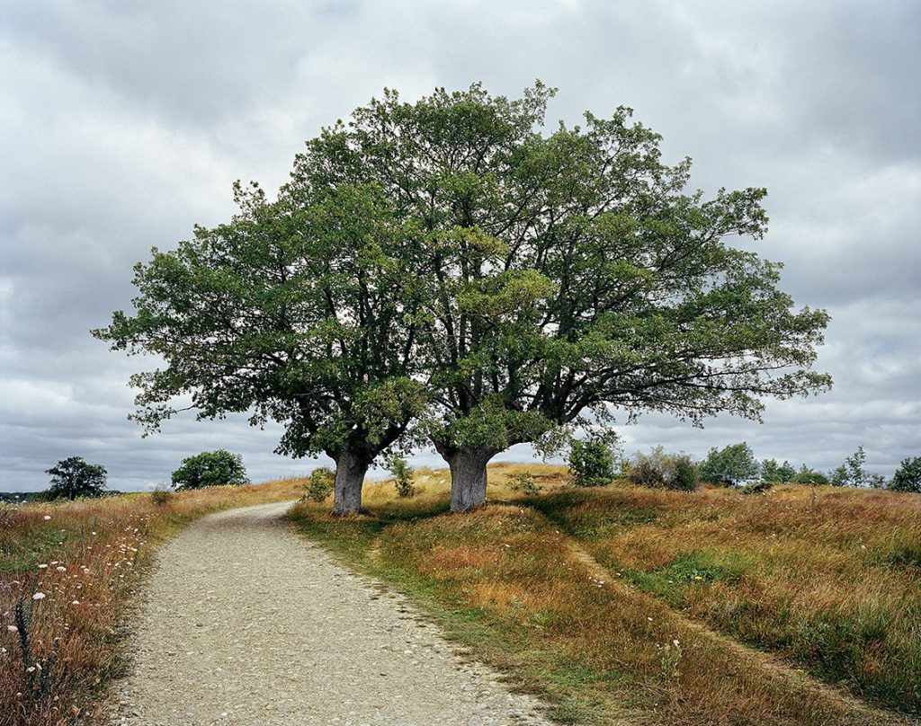 Photographie de Céline Anaya Gautier