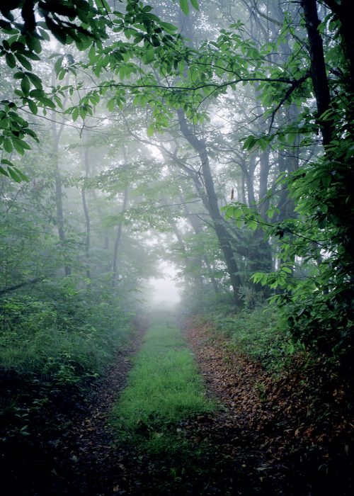 Compostelle