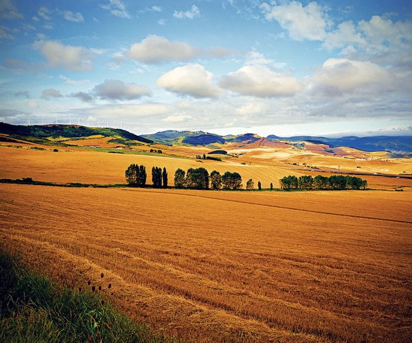 Les chemins de Saint Jacques de Compostelle partent de toutes l 'Europe mais les pèlerins viennent du monde entier pour le faire Chaque année...